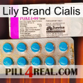 Lily Brand Cialis new07